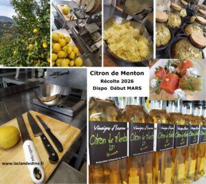 citron26